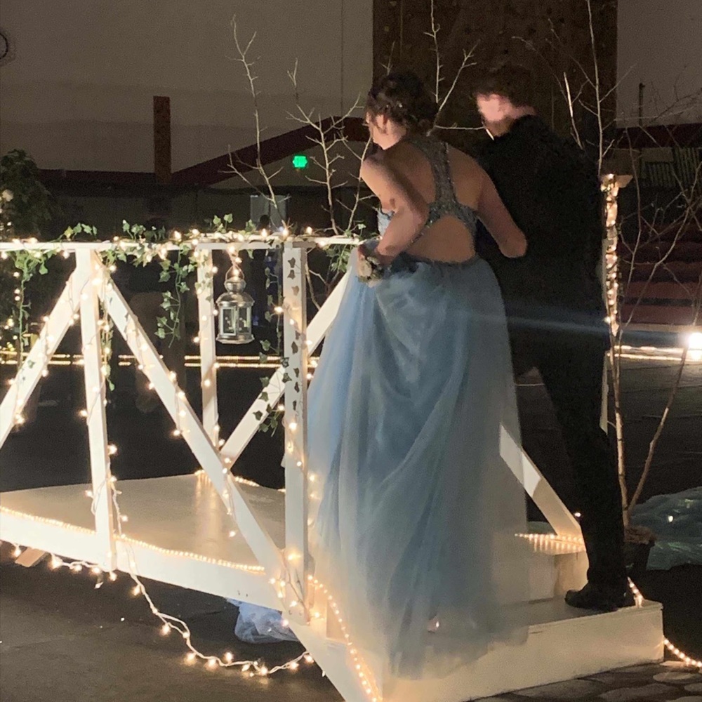 Formal/Prom Dress - Picture 5 of 5